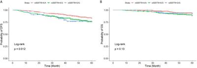 Single Nucleotide Polymorphisms in HOTAIR Are Related to Breast Cancer Risk and Prognosis in the Northeastern Chinese Population